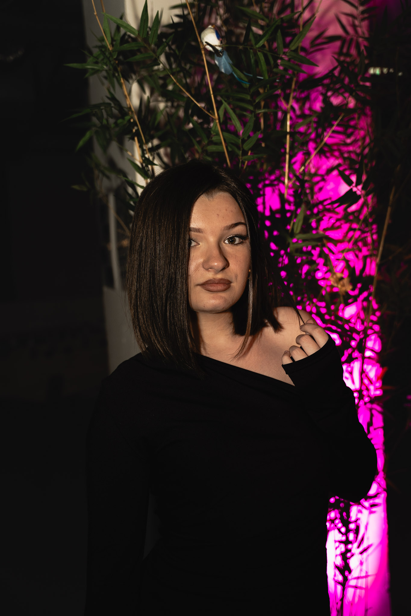 Projet portfolio
